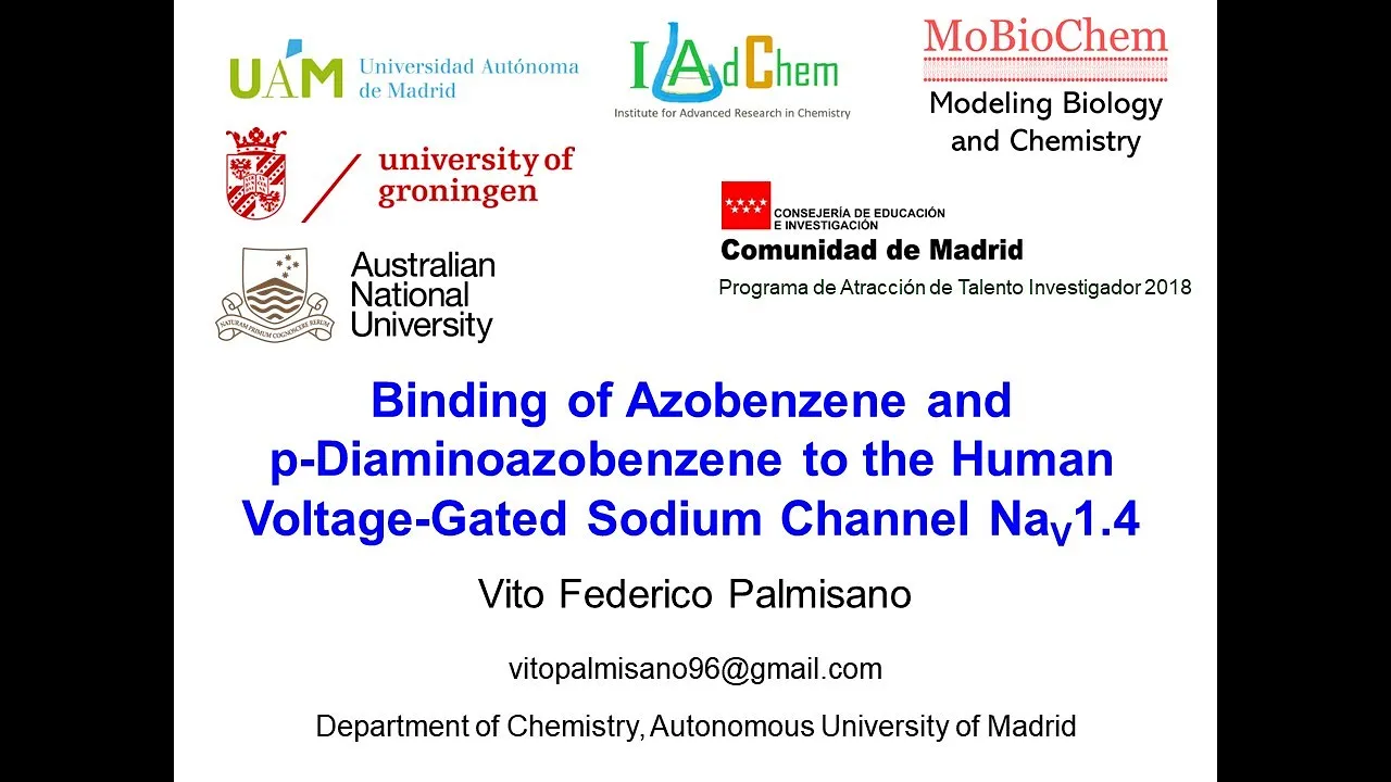Binding of Azobenzene and p-Diaminoazobenzene to the Human Voltage-Gated Sodium Channel Nav1.4