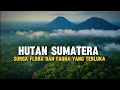 Lagu HUTAN TROPIS SUMATERA: SURGA KHATULISTIWA YANG MENDERITA
