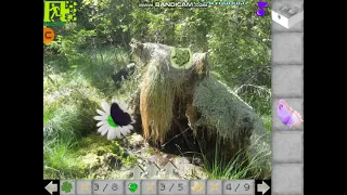 into the forest 2022 video walkthrough