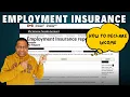 Complete EI Reporting Guide How to Fill Your EI Report for Claims