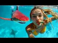 Download Lagu Red Shark in Paradise?🌴Best Reggae Island Music Mix 🎶