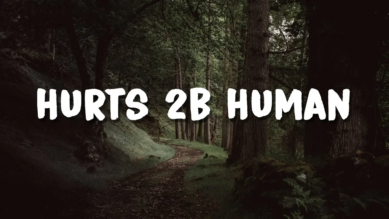 P!nk - Hurts 2B Human (Lyrics)