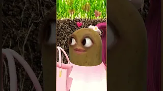 والله مجنونه Shorts Viral 