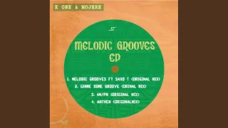 melodic groove original mix 
