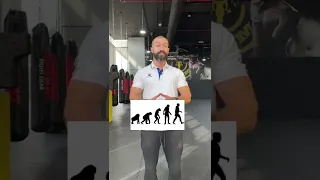 عضلات المؤخره 