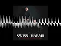 Folge 41 - Ein Gespräch mit marcant - SWISS+HARMS - ZWISCHEN TOUR+ANGEL
