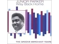 Download Lagu Junior Parker -  Drowning On Dry Land