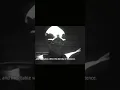 Project Blue-Book 1964 Alien Interview