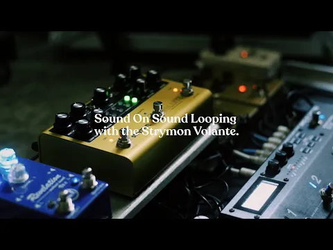 Strymon Volante Magnetic Echo Machine | Delicious Audio