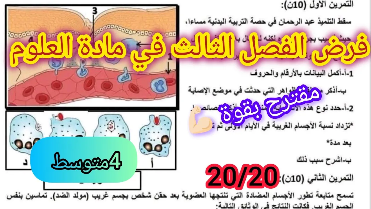 فرض الفصل الثالث في العلوم الطبيعية السنة الرابعة متوسط2026