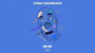 sculpturedmusic sad to think china charmeleon the animal remix 