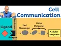 Cell Signaling the Big Picture for AP Bio Students