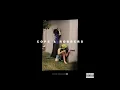 Download Lagu COPS \u0026 ROBBERS - AUDIO VANGUARD