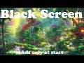 Lagu Amazon Jungle Night Sounds (Black Screen) - 30 Minutes of Jungle Sleep Sounds