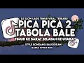 Download Lagu DJ PICA PICA 2 TIMUR KE BARAT SELATAN KE UTARA X TABOLA BALE SONG VIRAL FYP TIKTOK YANG KALIAN CARI