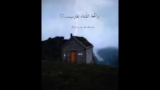 حالات واتس اب موسيقى هادئة عبارات جميلة عن الشتاء 