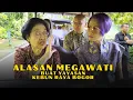 Download Lagu Megawati Bongkar Alasan Dibuat Yayasan Kebun Raya Bogor | Merawat Pertiwi