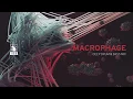 Download Lagu Macrophage | Deep Drum \u0026 Bass Mix