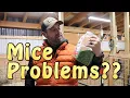 Get Rid Of In Your Barn Awesome Product