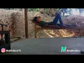 Download Lagu #bengkel#vlog#seberkassinar                                                        Tentang Kehidupan