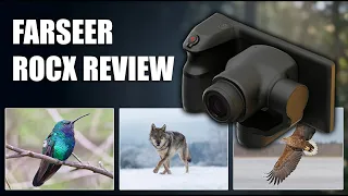 The Ultimate Wildlife Bird Camera or High-Tech Paperweight