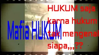 Download mafia hukum by navicula(lirik) MP3