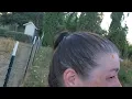 Feeding tomatoes to goats