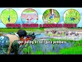 Download Lagu BERPETUALANG‼️BERBURU DISURGANYA BELIBIS \u0026 MANDAR BIRU// asli bikin  adrenalin memuncak