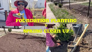Fence Foundation Planting and Spring Garden Clean Up Eastwick Cottage Garden