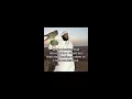 Download Lagu edit audios pt.103 || + timestamps 