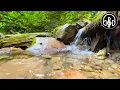 Mountain Stream 12 Hours Nature sounds For Sleep Relaxation and Meditation
