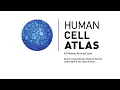 HCA Meeting Breakout Sessions Spatial Transcriptomics