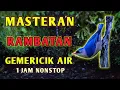 Download Lagu Masteran Suara Burung Rambatan Gacor dengan Gemericik Air cocok Untuk Terapi dan Isian Tembakan