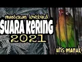 Download Lagu masteran lovebird konslet suara kering