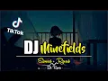 Download Lagu DJ MINEFIELDS TIKTOK REMIX SLOW BEAT TERBARU 2022