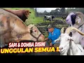 Download Lagu KELILING BIB LEMBANG! BIKIN MELONGO LIAT SAPI-DOMBANYA !!!