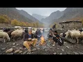 Building a Shelter in Heavy Rain to Save the Sheep | Nomadic Life Survival