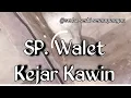 Download Lagu Suara Panggil Walet Kawin