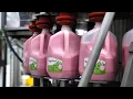 The Yogurtland Dairy Behind the Scenes
