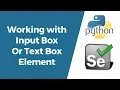 Selenium with Python Tutorial 8-Working with Input Box