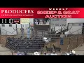 San Angelo Sheep Goat Report Live at Producers Livestock Auction Co March 24 2026