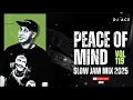 Download Lagu SLOW JAM MIX 2025 | PEACE OF MIND VOL 119 | DJ Ace ♠️