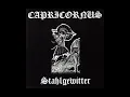 Download Lagu Capricornus -  Stahlgewitter (Full EP 1999)
