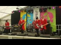 The Kinks Experience  (Sunny Afternoon)