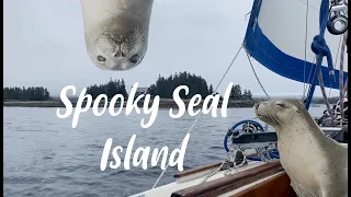 Spooky seal island 🦭 🌫