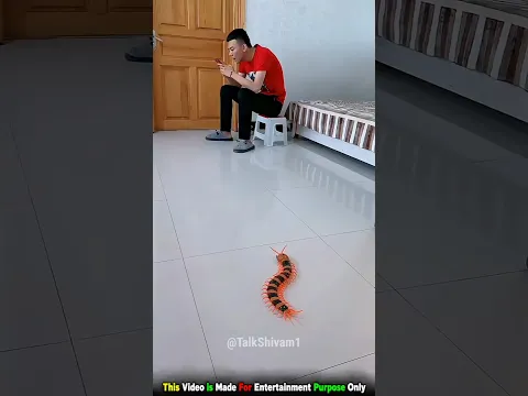 #luckygameplay