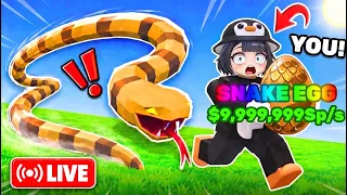 STEAL AN EGG🥚| #roblox