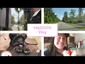 Valdosta Georgia Vlog Downtown Valdosta and Hahira Georgia