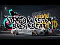 Lagu DJ BREAKBEAT BARAT TERBARU 2025 🔥 FULL ALBUM NONSTOP | NGAPAIN REPOT x TABOLA BALE