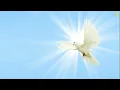 Worship In His Presence with Jimmy Swaggart